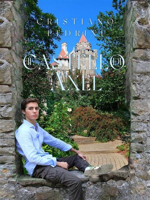 cover image of Il castello di Axel